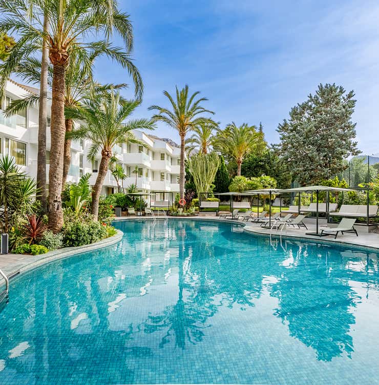Illa d'Or Apartments pool among palm trees Outdoor pool at the apartments in Puerto Pollensa, surrounded by palm trees, gardens and loungers