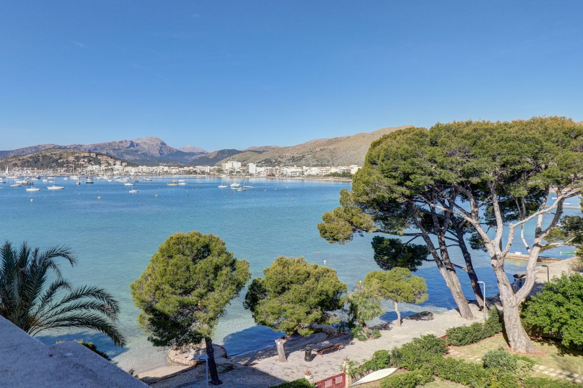 Bucht von Pollença mit ankernden Booten, Pinien an der Uferpromenade und Bergen im Hintergrund