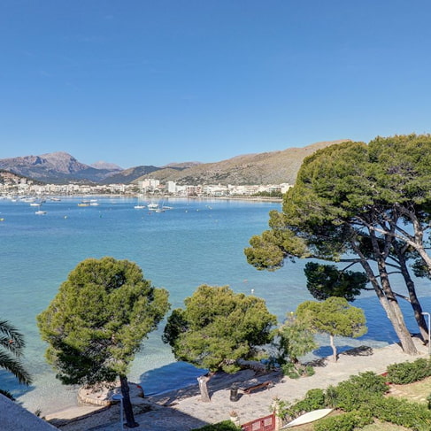 Bucht von Pollença mit ankernden Booten, Pinien an der Uferpromenade und Bergen im Hintergrund