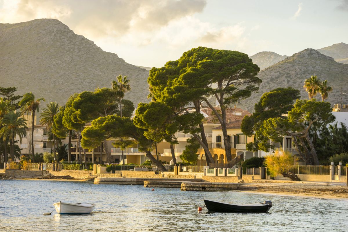 Boote am Ufer vor der baumgesäumten Promenade von Puerto Pollensa, mit den Bergen im Abendlicht