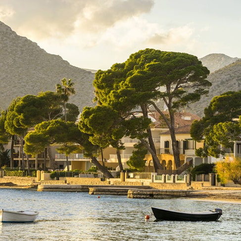Boote am Ufer vor der baumgesäumten Promenade von Puerto Pollensa, mit den Bergen im Abendlicht
