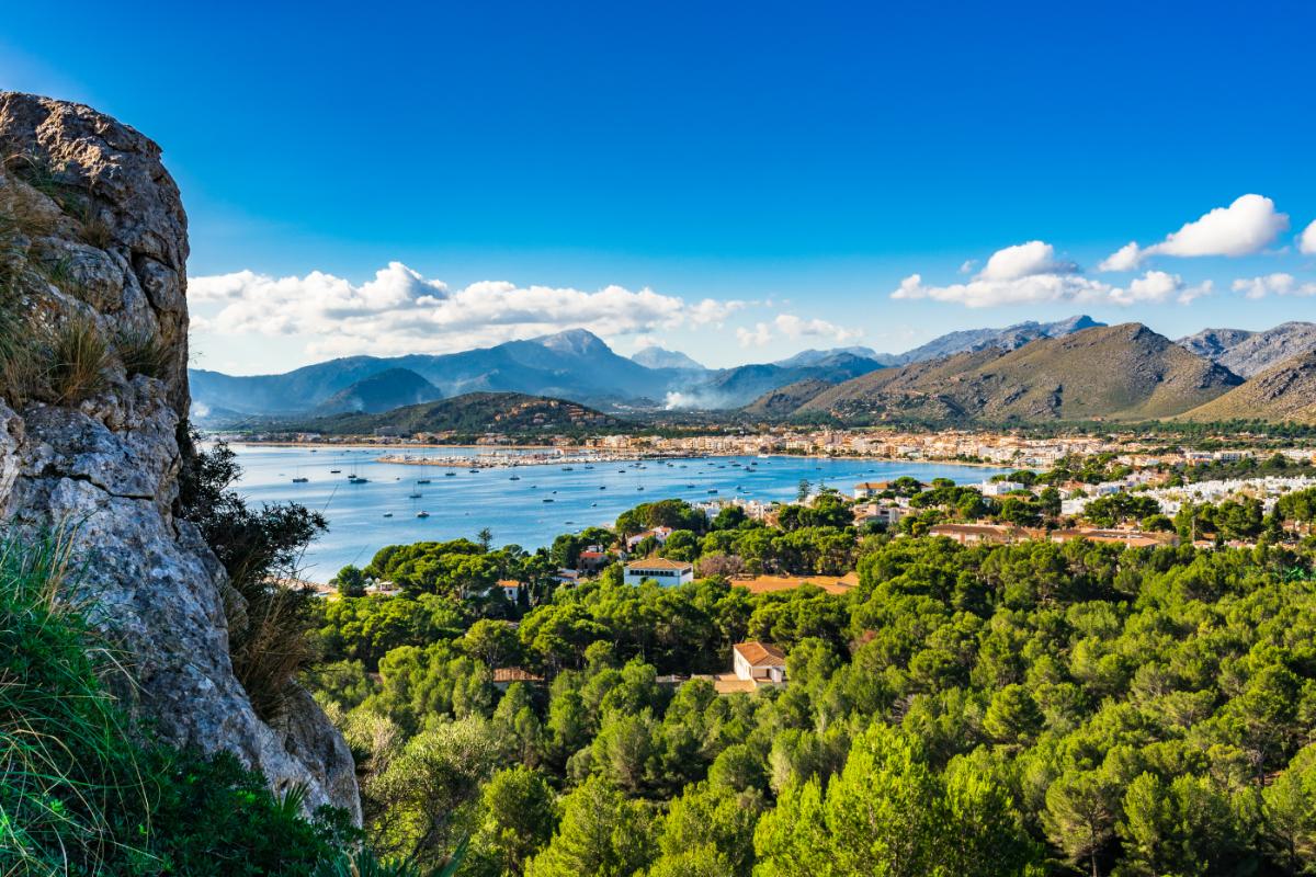 Panoramablick vom Berg auf die Bucht von Pollença mit Pinienwäldern und der Serra de Tramuntana