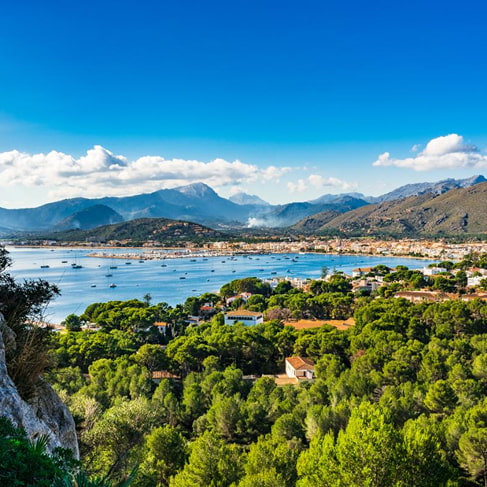 Panoramablick vom Berg auf die Bucht von Pollença mit Pinienwäldern und der Serra de Tramuntana