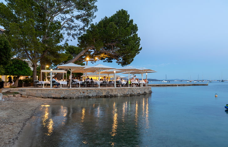 La Terrassa, panoramic restaurant in Puerto Pollensa La Terrassa restaurant terrace lit up at dusk on the seafront, beneath the pine trees of Puerto Pollensa