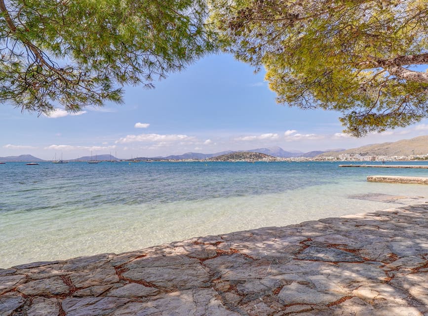 Hotel on the Pine Walk in Puerto Pollensa Seaside promenade in front of the Hotel Illa d'Or