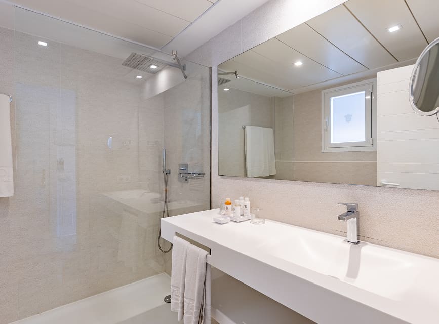 Bathroom with glass rain shower, large washbasin, magnifying mirror and toiletries