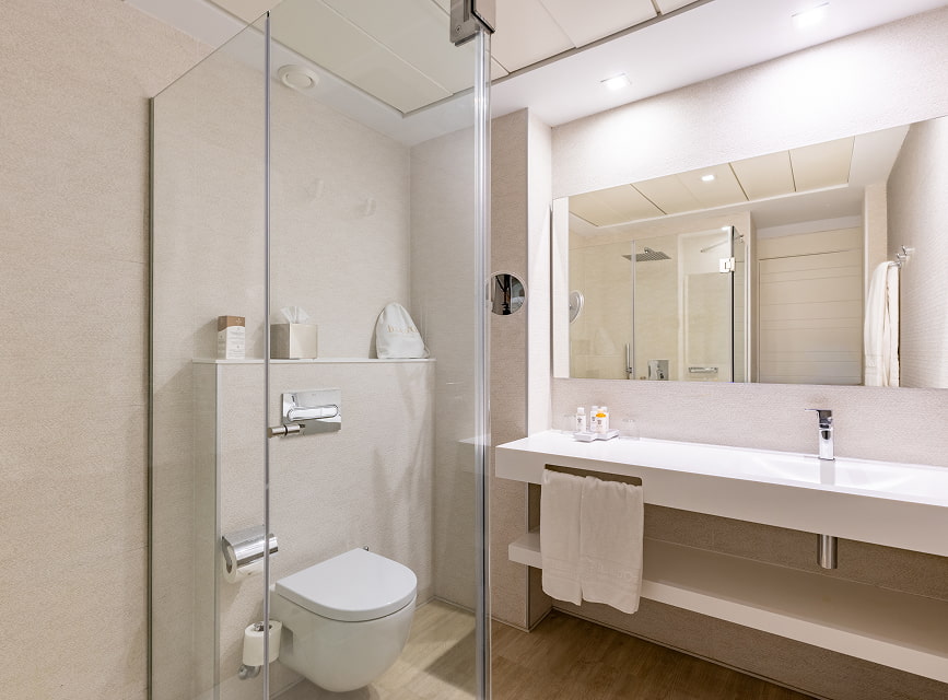 Bathroom with glass shower, large washbasin with mirror and toiletries